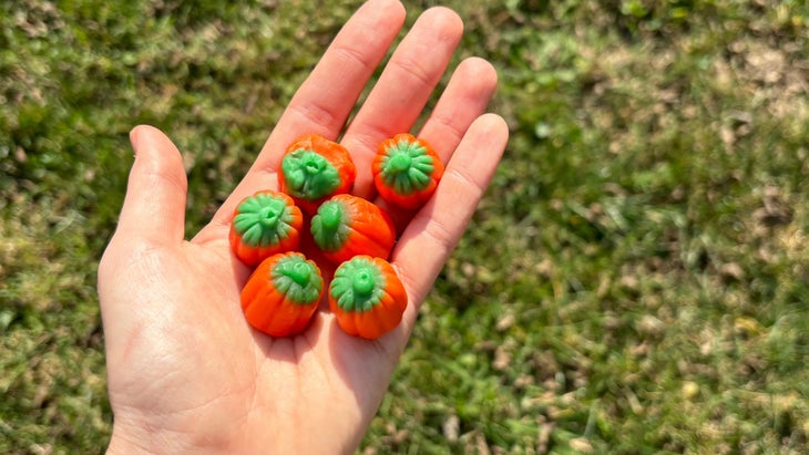 Branch's Mellowcreme Pumpkins are the best Halloween candy.